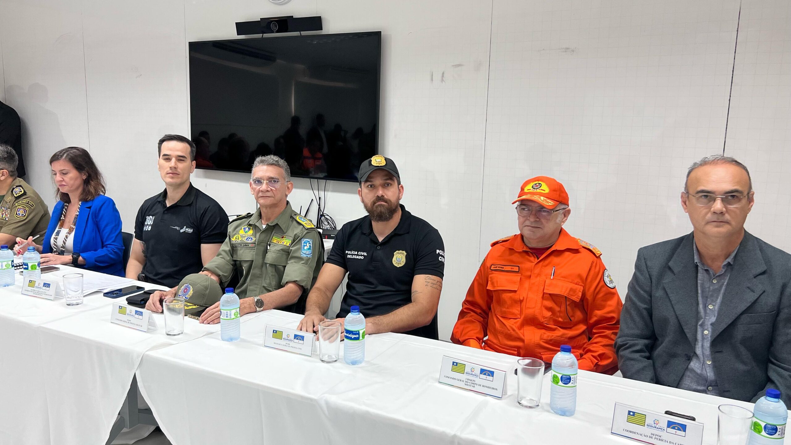 Piauí e Pernambuco reforçam cooperação em segurança pública durante reunião integrada