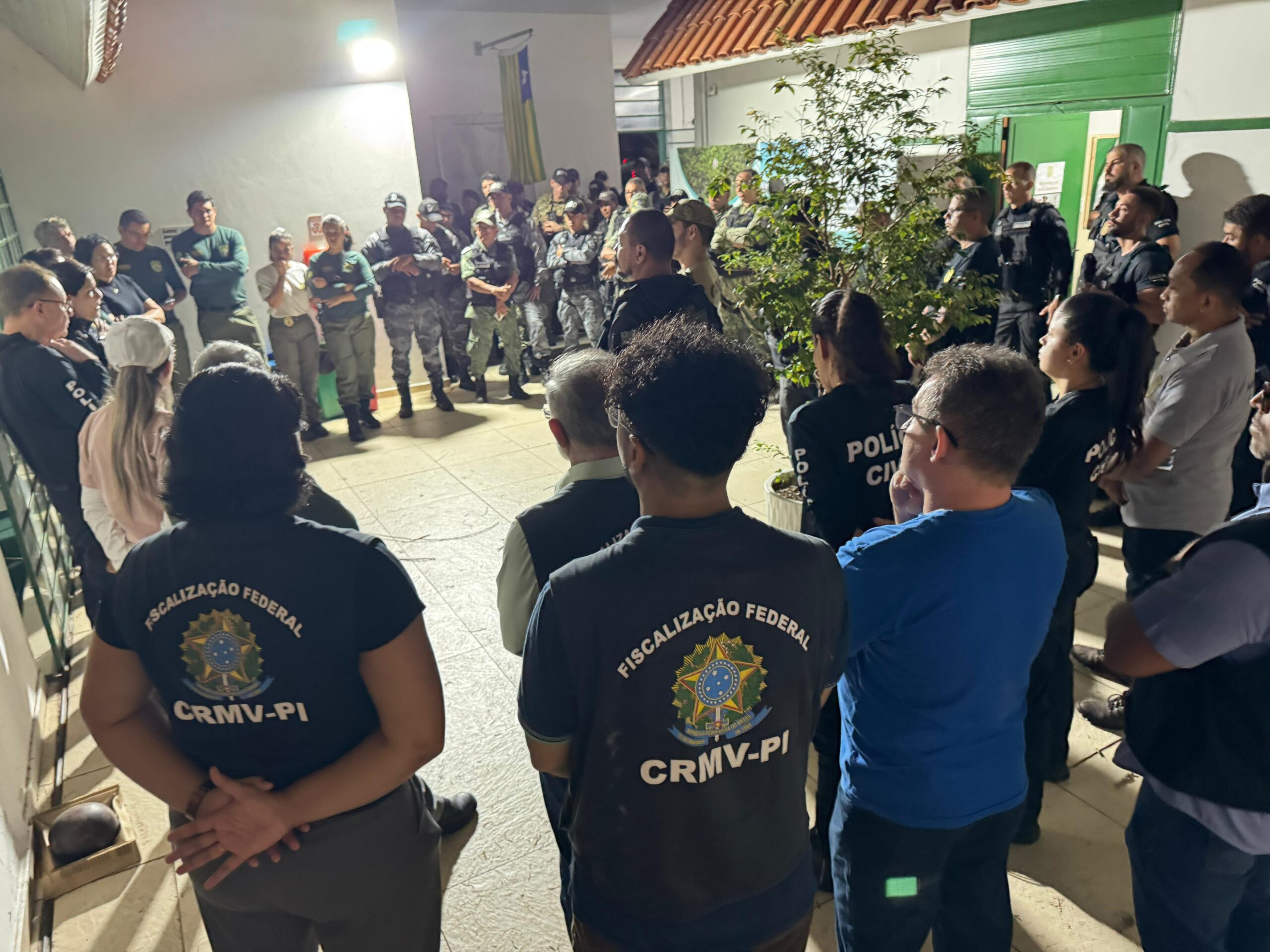 Polícia Civil do Piauí deflagra Operação Falso Vet e prende cinco pessoas por maus-tratos a animais