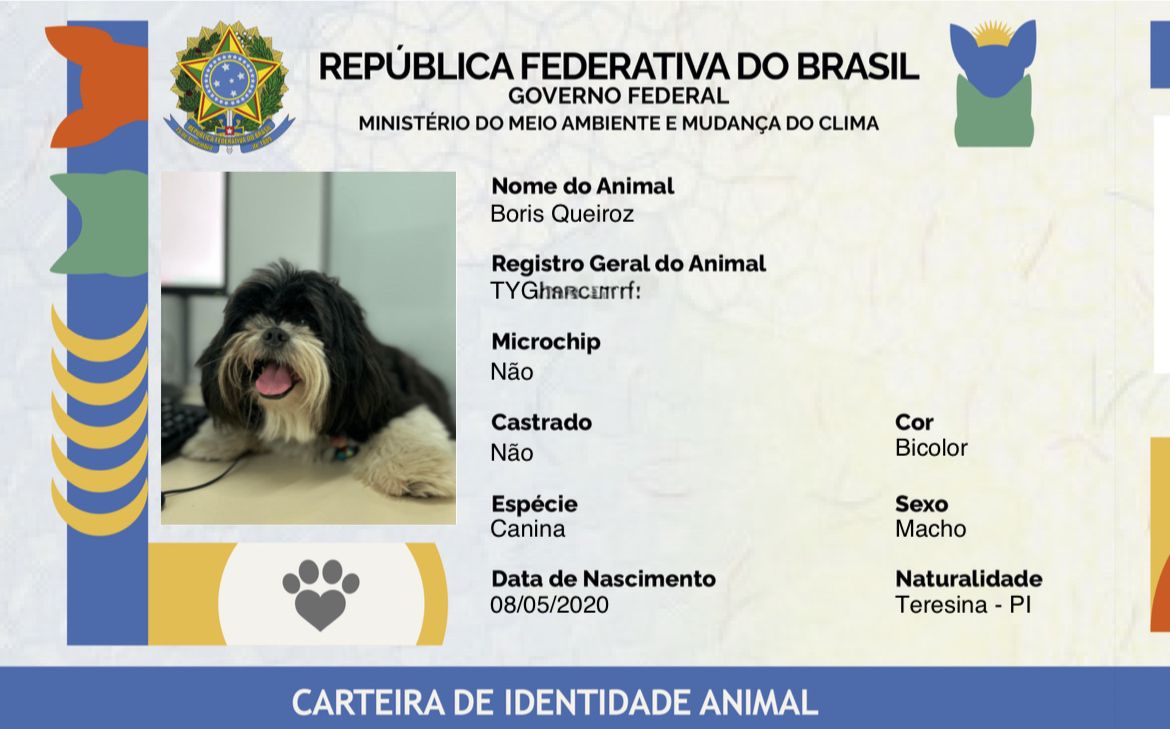 Ação de Emissão de Identidade para Cães e Gatos acontece nesta sexta (23) no Espaço da Cidadania Digital