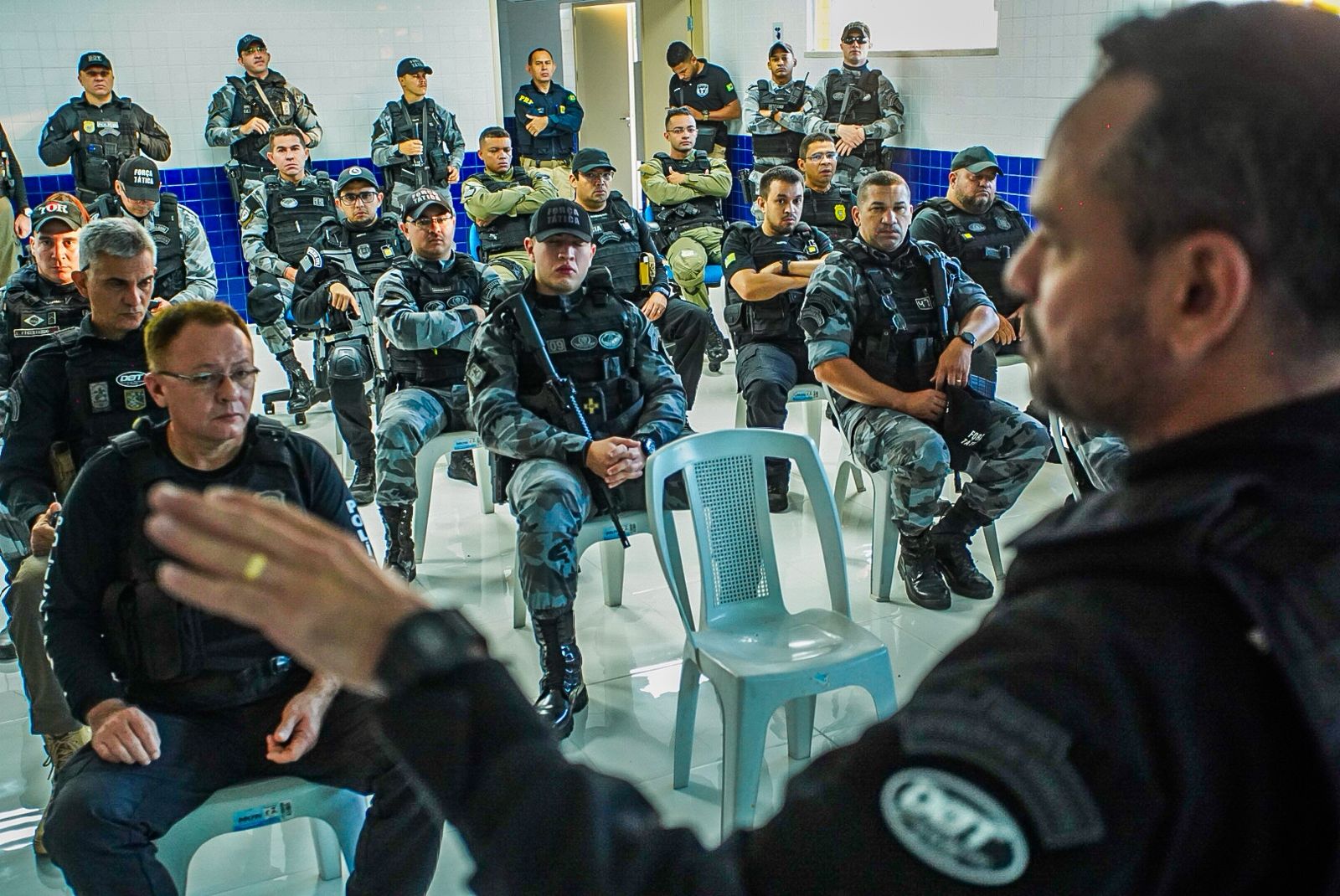SSP-PI deflagra nova etapa da Operação Porteira Fechada e apreende 60 animais no litoral do Estado