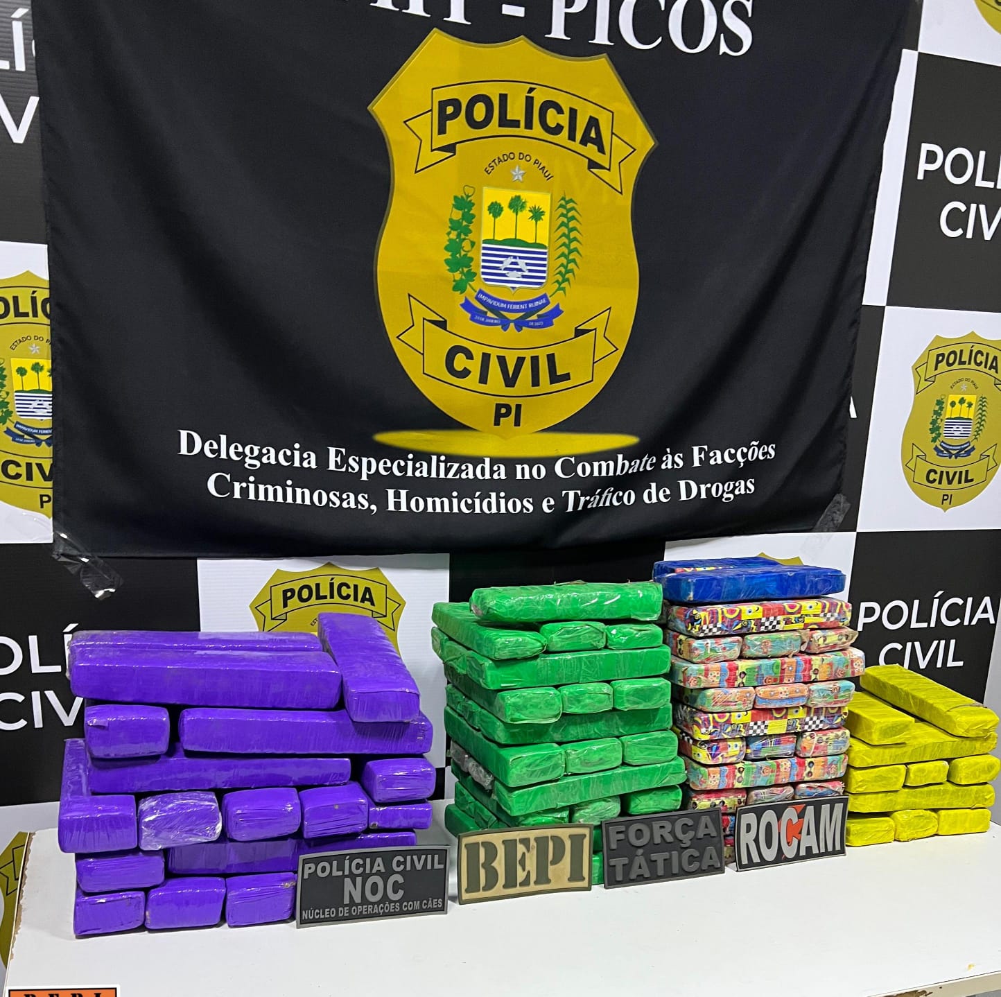 Operação Crepúsculo II: ação integrada apreende 100 tabletes de maconha em Picos