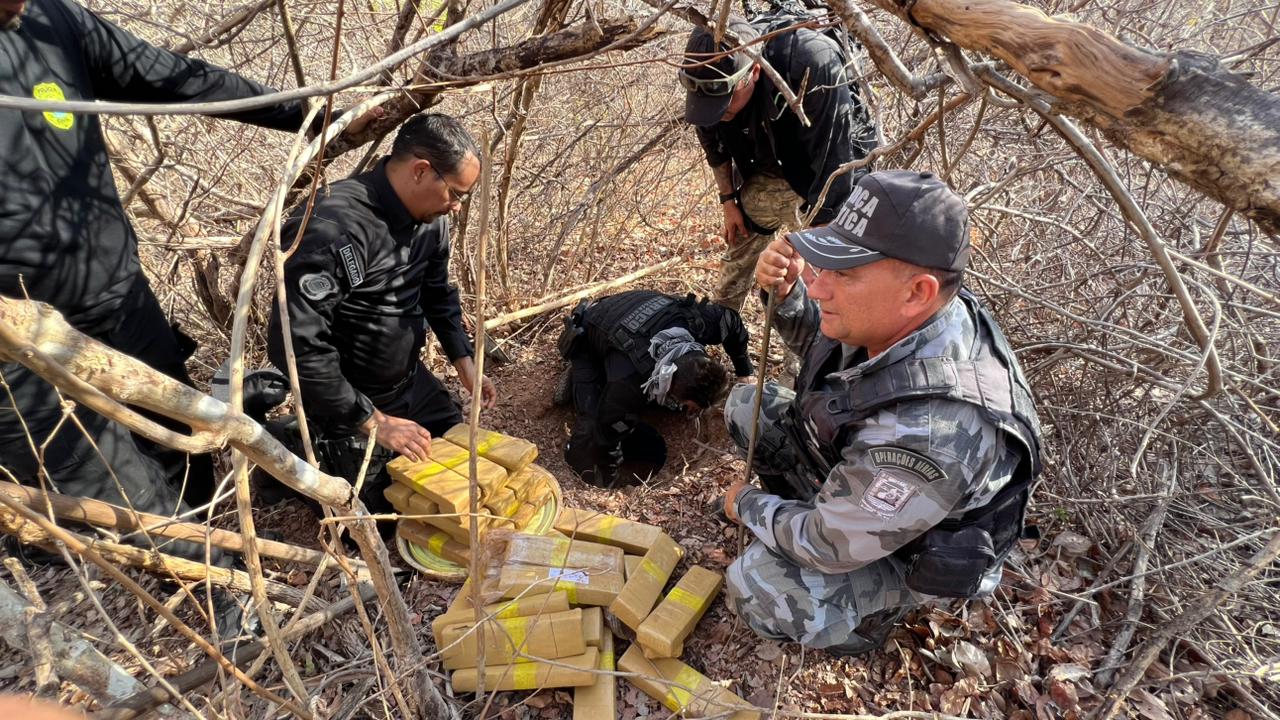 Ação integrada retira 300 Kg de cocaína de circulação no litoral do Piauí
