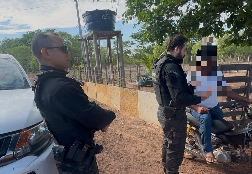 Operação Porteira Fechada é deflagrada em Alto Longá e recolhe 15 animais das estradas