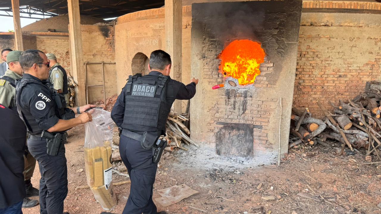 SSP-PI incinera aproximadamente 1 tonelada de drogas apreendidas no litoral do Piauí