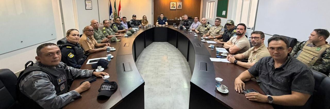 SSP-PI define estratégias de segurança para o período pré-Carnaval e Carnaval em Teresina e municípios do interior do Estado