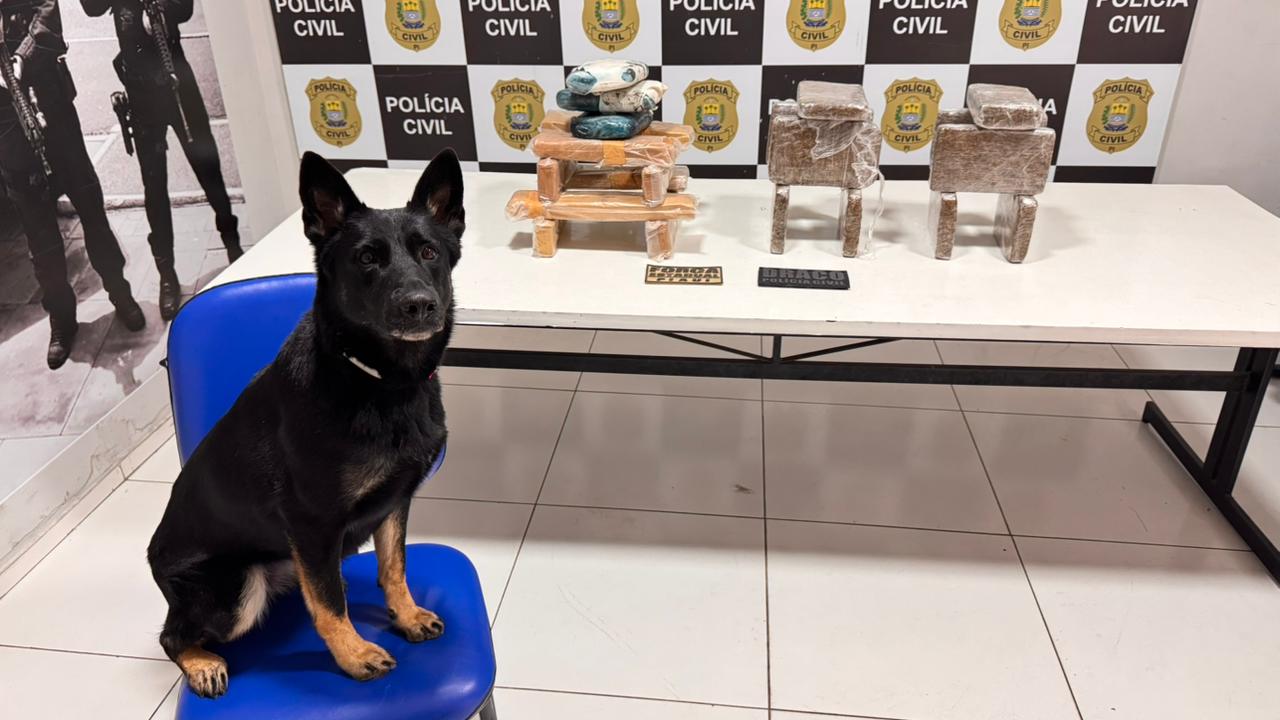 Operação integrada cumpre mandados e apreende cerca de 25 kg de drogas em Teresina