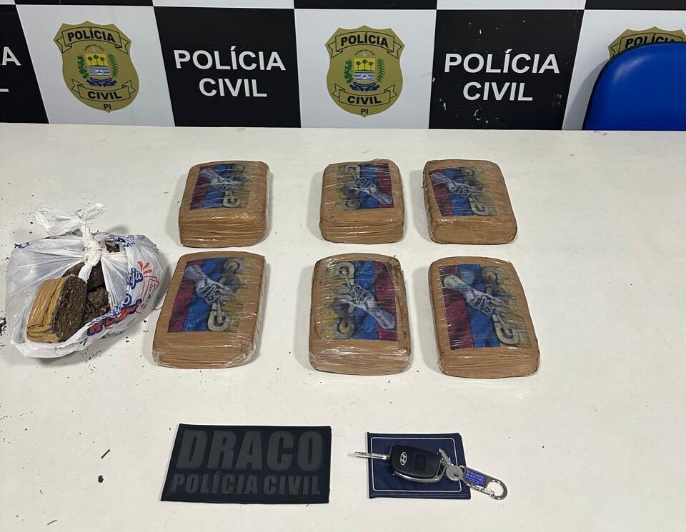Pacto Pela Ordem: SSP apreende entorpecentes e prende suspeito na zona Sul de Teresina
